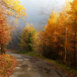 jesenný cesta