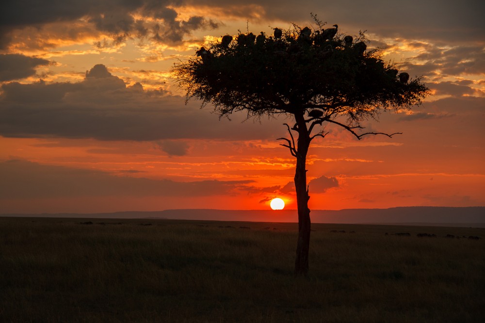 Západ slnka v Masai Mara