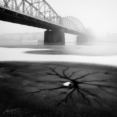 --Ice Bridge--