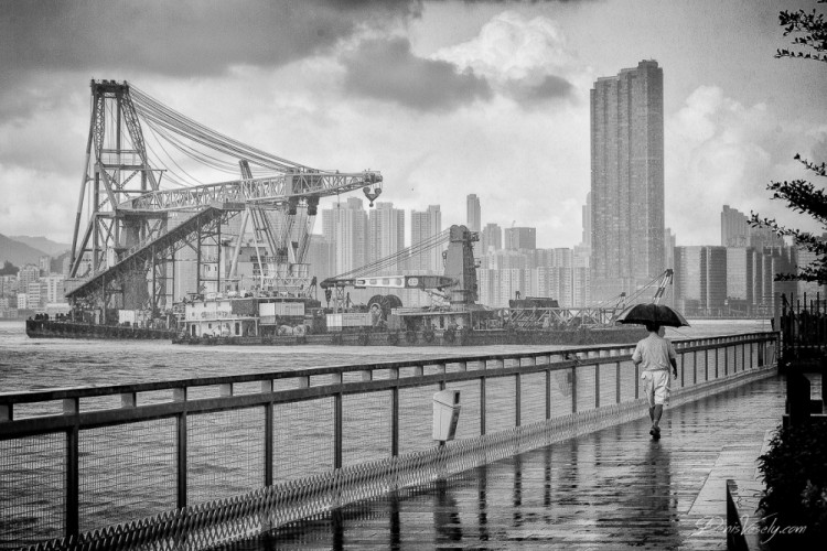 Letný daždík, hong kongská promenáda