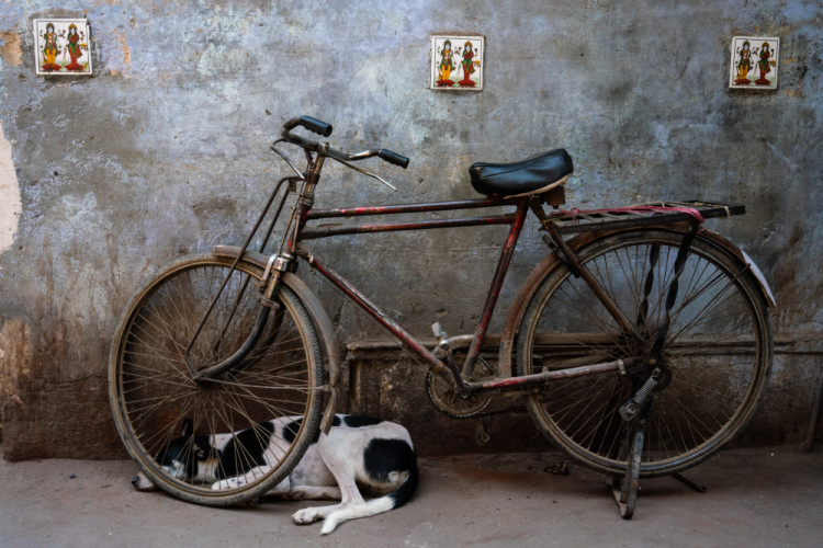 Ospalý cyklista