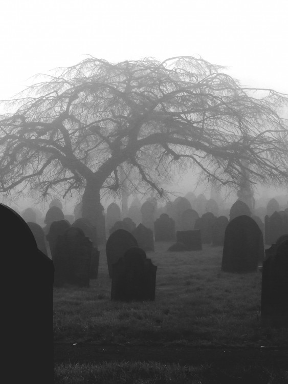 Cintorín v hmle