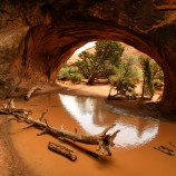 National Park Arches