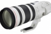 Canon EF 200-400mm f/4 L IS USM Extender 1.4x