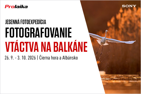 Jesenná fotoexpedícia: migrácia vtáctva v Čiernej Hore a Albánsku