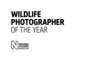 2020 Wildlife Photographer of the Year competition