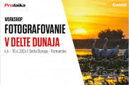 Workshop: Fotografovanie vtáctva v delte Dunaja