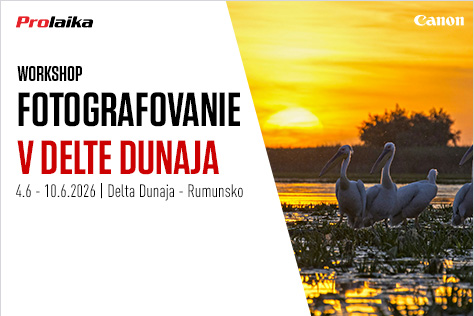 Workshop: Fotografovanie vtáctva v delte Dunaja