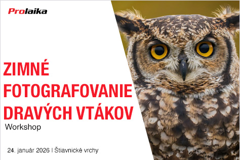 Zimn� fotografovanie drav�ch vt�kov v��tiavnick�ch vrchoch