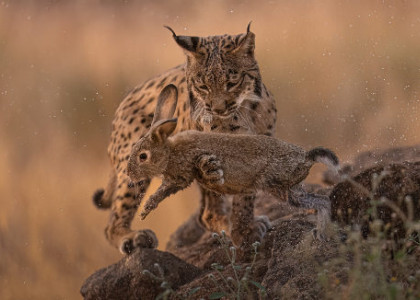 Fotografia a sila zmeny