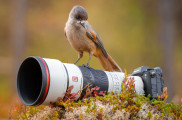 Sony predstavuje dva nové super teleobjektívy FE 400MM F4.5 GM OSS a FE 600MM F6.3 GM OSS