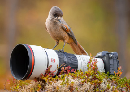 Sony predstavuje dva nové super teleobjektívy FE 400MM F4.5 GM OSS a FE 600MM F6.3 GM OSS