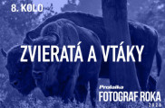 Fotosúťaž PRO.Laika fotograf roka 2026: 8. kolo - Zvieratá a vtáky