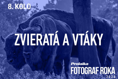 Fotosúťaž PRO.Laika fotograf roka 2026: 8. kolo - Zvieratá a vtáky