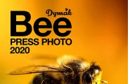Bee Press Photo 2020