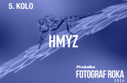 Fotosúťaž PRO.Laika fotograf roka 2026: 5. kolo - Hmyz