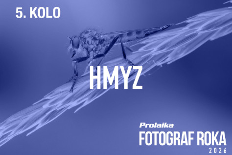 Fotos��a� PRO.Laika fotograf roka 2026: 5. kolo - Hmyz