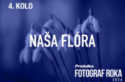 Fotosúťaž PRO.Laika fotograf roka 2026: 4. kolo - Naša flora