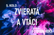 Vyhodnotenie 5. kola súťaže Pro.Laika fotograf roka