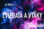 Fotosúťaž Pro.Laika fotograf roka 2025: 8.kolo - Zvieratá a vtáky