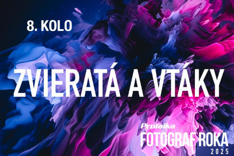 Fotosa Pro.Laika fotograf roka 2025: 8.kolo - Zvierat a vtky