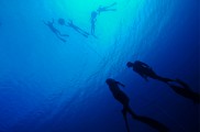 Fotografovanie pod vodou – rýchly prehľad