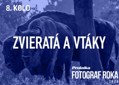 Vyhodnotenie 8. kola súťaže PRO.Laika fotograf roka 2026
