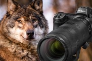 Klenot: NIKKOR Z 70-200 mm f/2,8 VR S