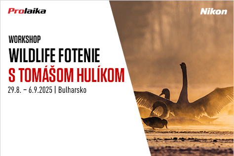 Wildlife workshop s Tomom Hulkom: Jesenn migrcia vtctva na Via Pontica