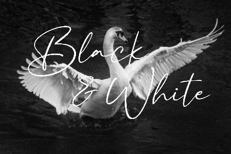 Čiernobiela fotografia: 3 základné esencie kontrastu