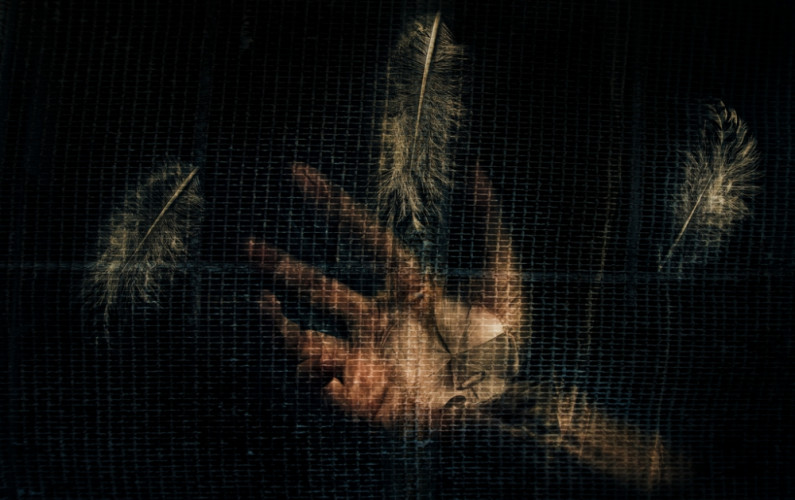 Slobodu neuchopíš!