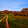 Jesenná cesta