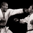 Športové karate - tsuki