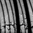 Abstrakt 31