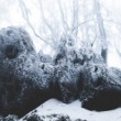 Crystalized