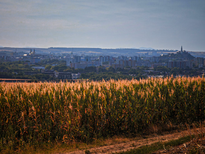 Nitra