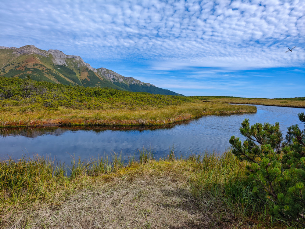 Veľké Biele pleso