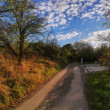 Jesenná