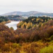 Loch Drunke