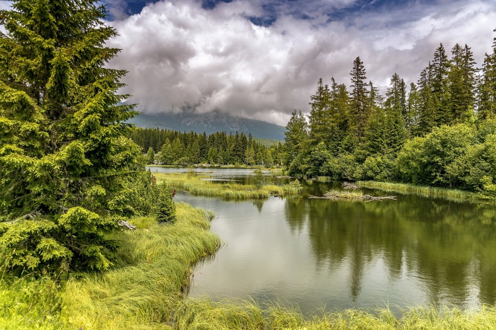 Nové pleso