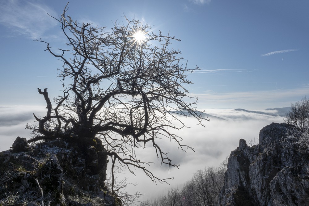 Čierna skala