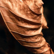 Detail jesene