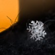 snow flake