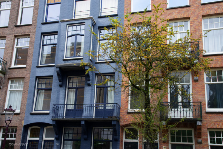 Amsterdamské okná 2.