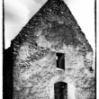 Haluzice