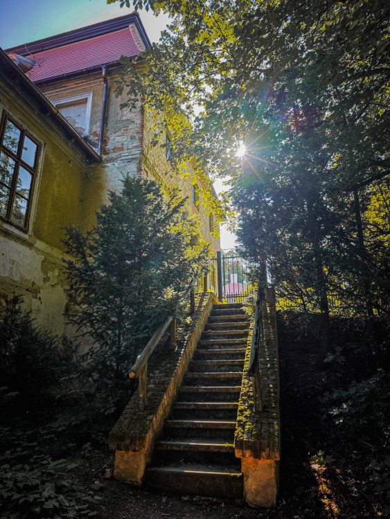 Lysice