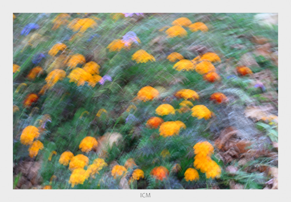 icm