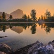Reflexia