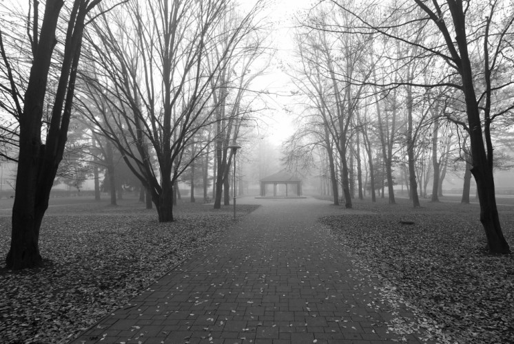 Hviezdoslavov park, Martin