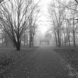 Hviezdoslavov park, Martin